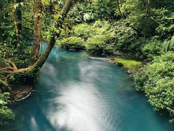 Türkisblauer Fluss im Regenwald Costa Ricas