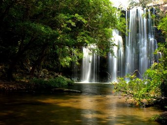 Wasserfall im Regenwald