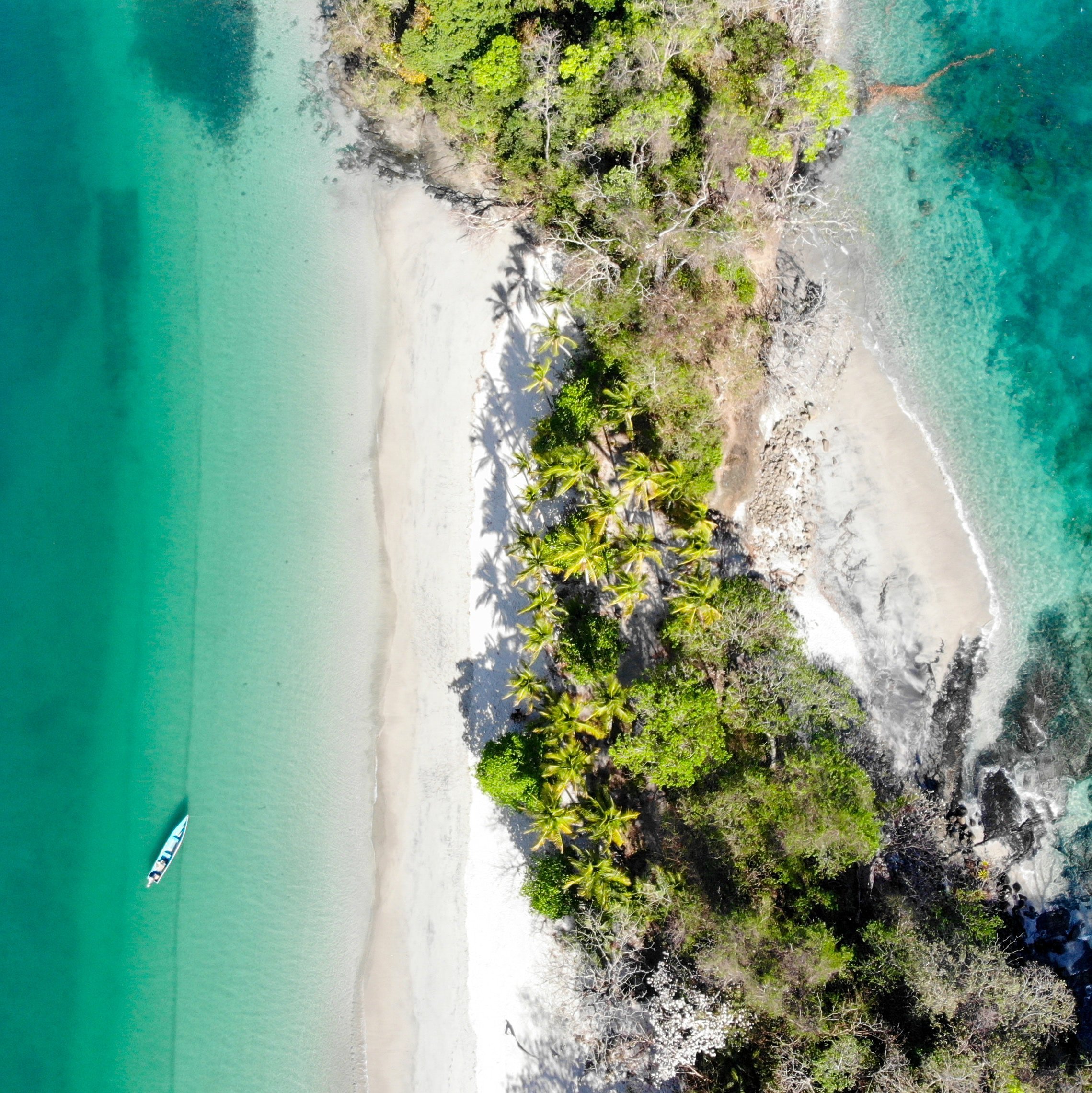 Strand, Palmen, türkisfarbenes Meer von oben