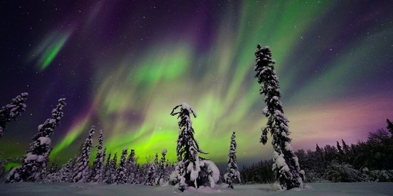 Polarlichter in einem verschneiten Wald in Finnland