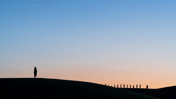 Einzelne Zypresse in de blauen Stunde. Kontrastreiches Foto.