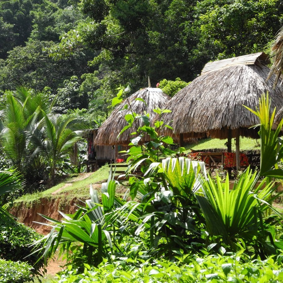 Cabana im Grünen - Panama