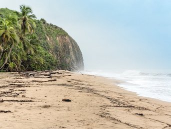 Menschenleerer Strand mit Palmen im Tayrona Nationalpark in Kolumbien
